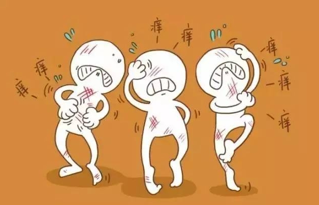 荨麻疹2